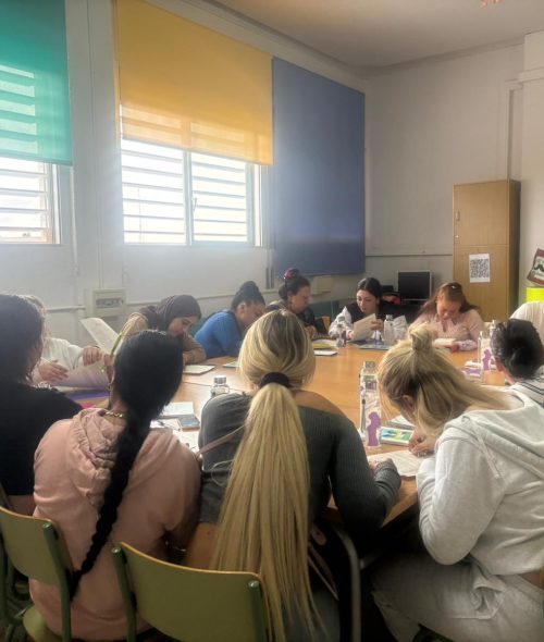 Curs de monitores Gava 3
